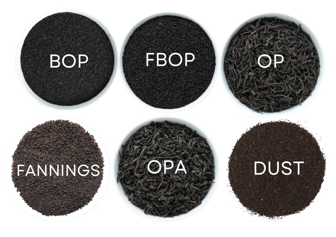 What are BOP, FBOP, OP, FOP, OPA , Dust, and Fannings and other terms found in the Ceylon Tea industry?