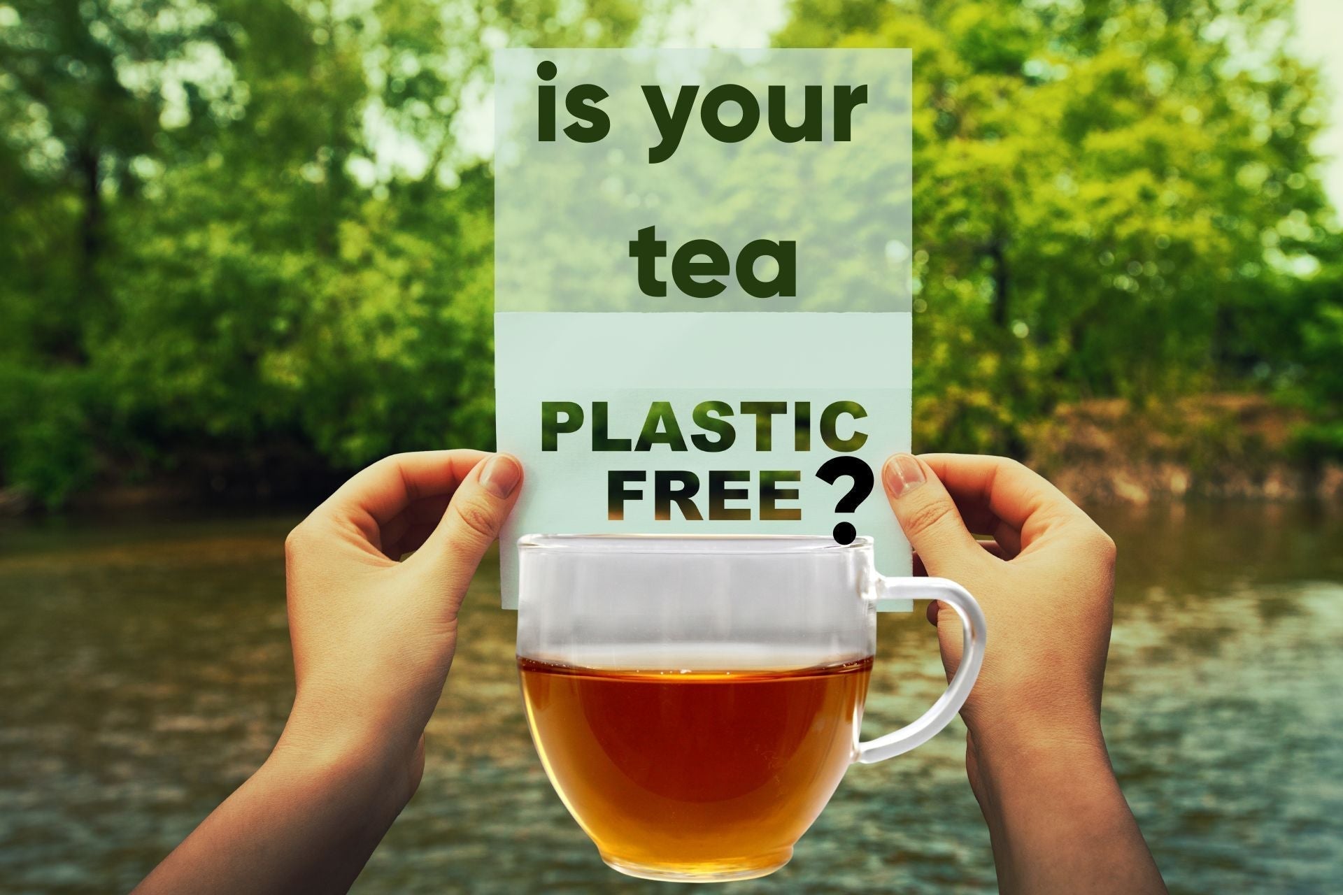 Plastic Free Tea
