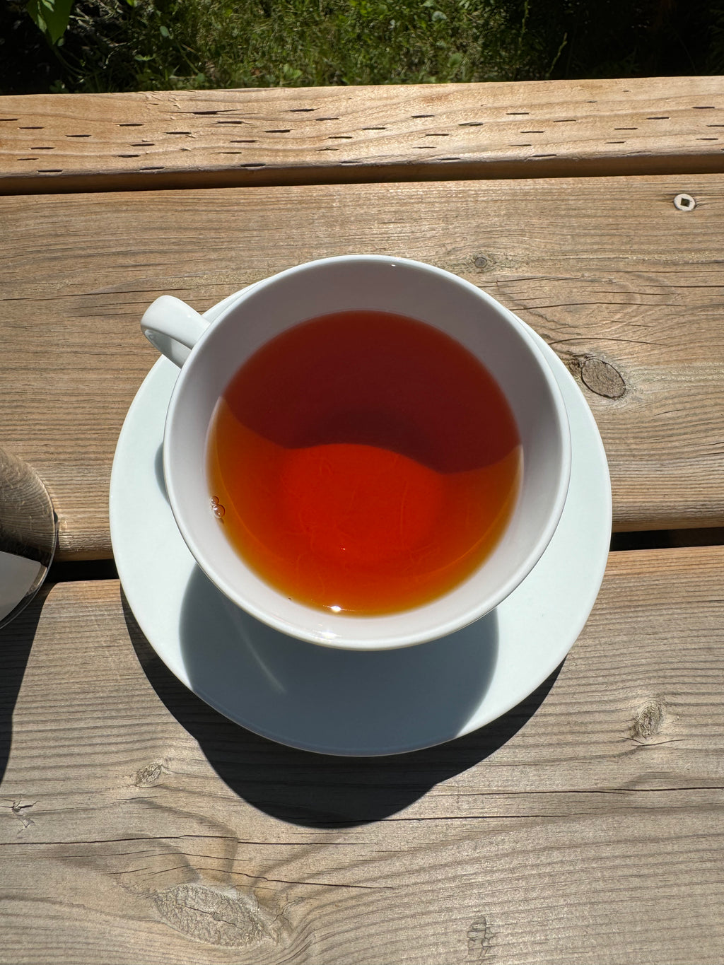 Brewed Cup of Black Tea