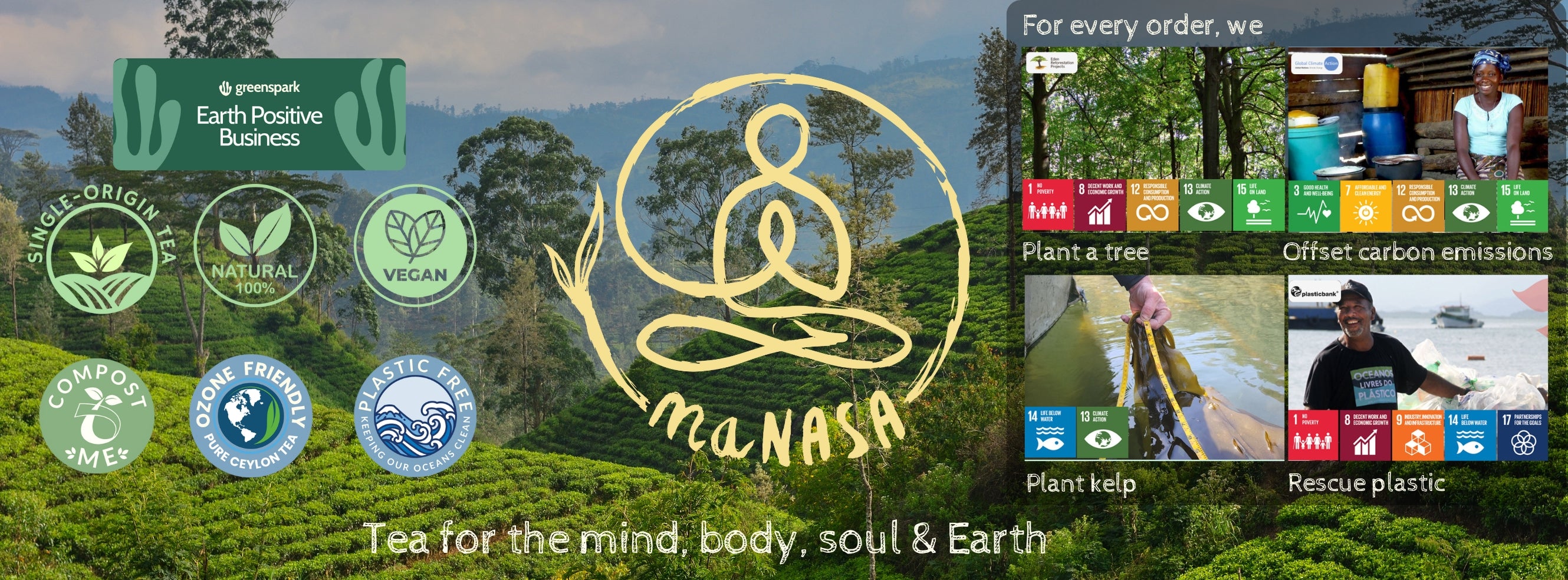 Sustainable Tea Brand