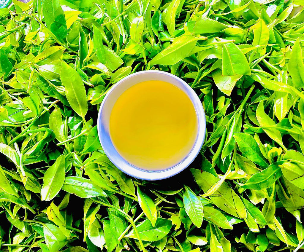 Green Tea | Loose Leaf Young Hyson (YH) Green Tea - maNASA Tea